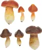 Deko-Pilze, Polystyrol, Braun/Karamell, 6 - 9 cm x 2,5 - 6 Produktbild-Vorschau 1