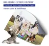 Three dogs wearing bunny ears and a kitten are in a grassy field with Easter decorations. Produktbild-Vorschau