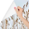Muralo Selbstklebende Fototapete Schilf PFLANZEN Natur Produktbild-Vorschau 3