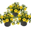 Magic bell - Mini wiszaca petunia - Calibrachoa - Doniczka Podgląd zdjęcia produktu 1