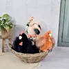Doudou, verhalenboek over beren, pluchen kip, zwart, 28 cm Productafbeelding-voorbeeld 4