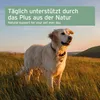 AniForte olio di cocco per cani e gatti 400ml - Nativo e Anteprima dell’immagine prodotto 6