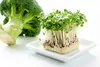 500 g di semi di broccoli  Semi da germogliazione Germogli Anteprima dell’immagine prodotto 1
