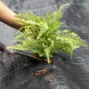 KRUMAD : Tissu anti-mauvaises herbes, 70 g/m², 1,1 x 50 Voir les images du produit 4