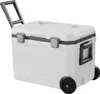 VEVOR tragbare Kühlbox (45 Qt / 64 Dosen) mit Produktbild-Vorschau 1