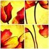 Bilder auf glas - Blumen Schilder Stiel Linien - 50x50cm - Produktbild-Vorschau 8