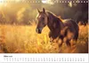 Wilde Mähnen: Ein Jahr mit Pferden (Wandkalender 2026 DIN Produktbild-Vorschau 6