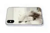 MuchoWow® Handyhülle Schutzhülle Hülle für iPhone Xs Pferd Produktbild-Vorschau 5