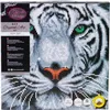 CRAFT Buddy White Tiger, Bastelset für Kinder, 6 Jahr(e), Produktbild-Vorschau 7