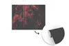 MuchoWow® Fototapete für Wohnzimmer oder Schlafzimmer Produktbild-Vorschau 3