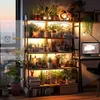 A shelf filled with various potted plants, illuminated by grow lights, with a computer setup to the side. Náhľad obrázku produktu
