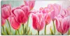 Coloray Spritzschutz aus Glas 100x50  Wandkunst Produktbild-Vorschau 1