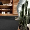 A person is putting shoes away in a shoe cabinet, with a doormat and a cactus in the foreground. Podgląd zdjęcia produktu