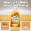 Oranje Allesreiniger 500ml – Natuurlijke Sinaasappelolie, Productafbeelding-voorbeeld 3