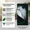 Mucola Gewächshaus inkl. 3 in 1 Feuchtigkeitsmessgerät für Produktbild-Vorschau 2