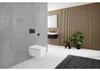 Geberit 115.622.14.1, Splachovací deska, Černá, Geberit, Náhled obrázku produktu 8