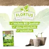 Winterportulak Postelein |  Portulaksamen von FLORTUS Produktbild-Vorschau 3