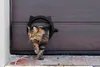 Katzenklappe mit 4-facher Verriegelung - Haustiere drinnen Produktbild-Vorschau 4