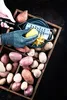 A person wearing a protective glove is grating a potato over a grater, with a wooden box full of various potatoes in the background. Produktbild-Vorschau