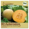 Samenliebe  Melone Samen | Benarys Zuckerkugel - sehr süß & Produktbild-Vorschau 1