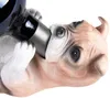 BRUBAKER Porte-bouteille de vin Chien assoiffé - Bouledogue Voir les images du produit 4