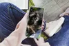 MuchoWow® Handyhülle Schutzhülle Hülle für iPhone X Produktbild-Vorschau 3