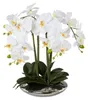 künstliche Orchidee Phalaenopsis H. 41cm weiß in silberner Produktbild-Vorschau 1