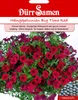 Dürr-Samen - Petunien Big Time Red einjährig 100 cm - Produktbild-Vorschau 3