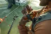GoPro HERO13 BLACK Akčná športová kamera 27,6 MP 5,3K Ultra Náhľad obrázku produktu 16