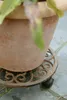 Esschert Design | Pflanzwagen - 29 cm - Rustikal - Mit 3 Produktbild-Vorschau 5