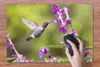 MuchoWow® Schreibtischunterlage Kolibri - Vogel - Natur Produktbild-Vorschau 3