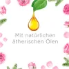 Air Wick Freshmatic Max Nachfüller Rosen & Sommerflieder Produktbild-Vorschau 5
