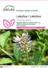 SAFLAX - Lékořice / Lékořice - Glycyrrhiza glabra - 30 Náhled obrázku produktu 1