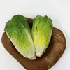 Romanasalat Xanadu Samen - Lactuca sativa - Produktbild-Vorschau 3