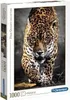 puzzle Walk of the Jaguar 1000 Teile Produktbild-Vorschau 9