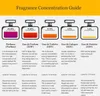 A guide to fragrance concentrations with illustrations of perfume bottles and descriptive text. Podgląd zdjęcia produktu