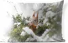MuchoWow® Outdoor Kissen - Eichhörnchen - Kiefer - Schnee - Produktbild-Vorschau 1