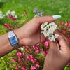 Seiko SWR085P1 Montre Femme Rectangulaire Acier/Bleu Voir les images du produit 4