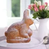 Dr. Oetker Vollbackform Hase, Oster-Backform, Kuchenform Produktbild-Vorschau 2