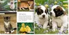 Meine liebsten Tierbabys Produktbild-Vorschau 4