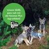 Wölfe Produktbild-Vorschau 3