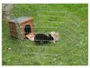 KERBL Kleintierhaus Outdoor (L x B x H 36 x 36 x 40 cm, Anteprima dell’immagine prodotto 6