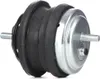 RIDEX Motorlager Hydrolager Links für BMW 5 Limousine (E39) Produktbild-Vorschau 10