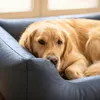 4L Textil Mario Orthopädisches Hundebett aus Kunstleder Produktbild-Vorschau 5