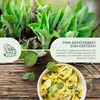 Salbei Samen - Heilkräuter Saatgut aus biologischem Anbau Produktbild-Vorschau 3