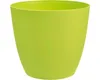 obal ELLA pr.21cm ZE (jablečná) matný Produktbild-Vorschau 3