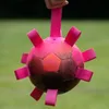 Dog Comets Ball Hypernova - Pink Náhľad obrázku produktu 2