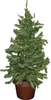 LED-Dekobaum / Weihnachtsbaum / Höhe: ca. 55cm / mit35 Produktbild-Vorschau 1