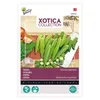 Buzzy Xotica Okra Clemson Beztŕňové semená - cca 8 gr | Náhľad obrázku produktu 1