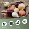 Jutesack – vielseitig einsetzbar für Lagerung und Produktbild-Vorschau 3